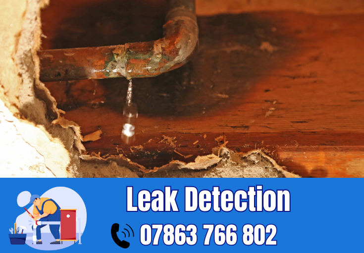 leak detection Croft
